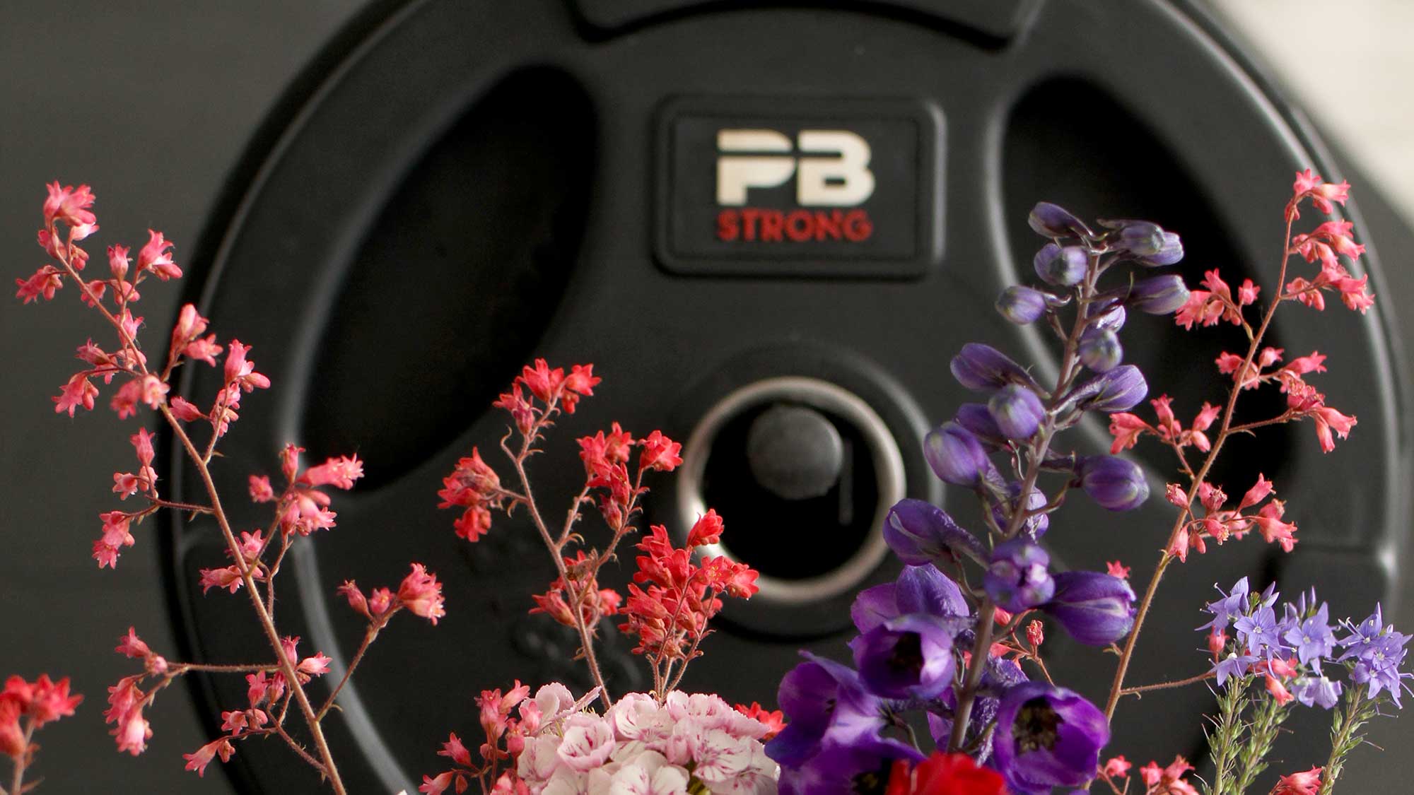 Functional-Bereich