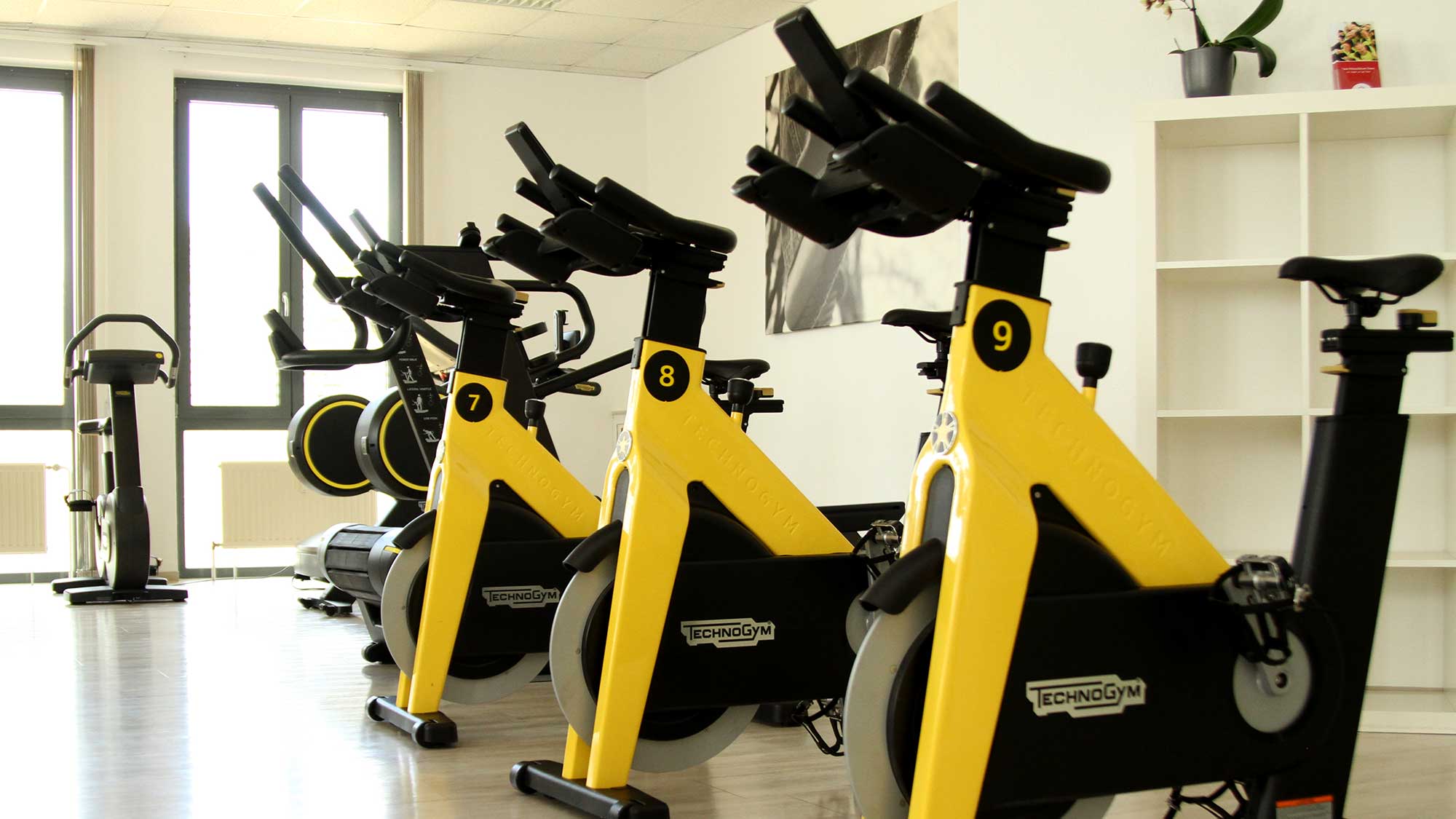 Cardio-Bereich
