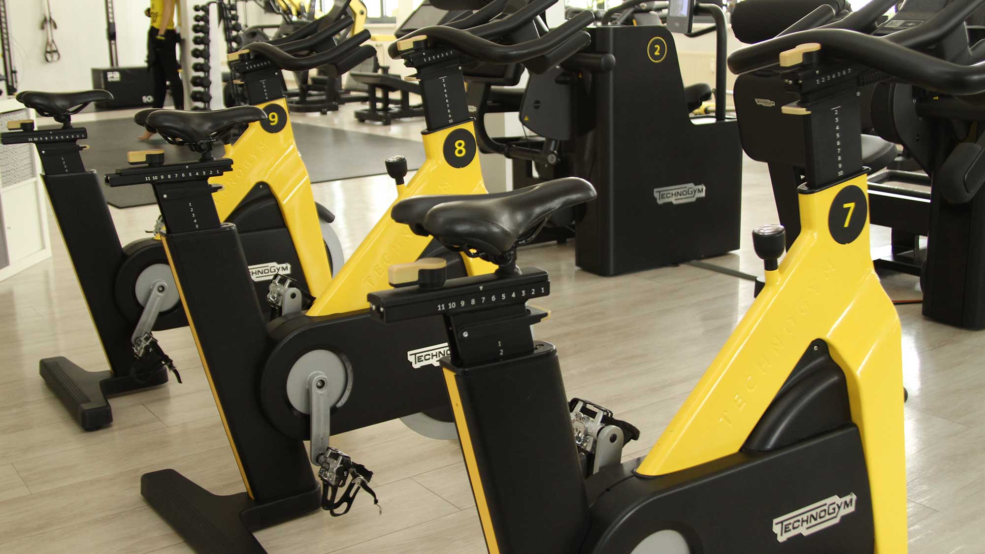 Cardio-Bereich